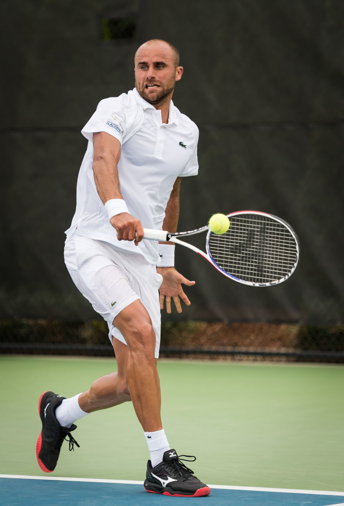 Winston-Salem Open